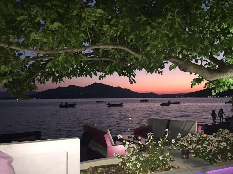 Villa Oleander Agios Nikolaos Loutra Edipsou Exterior photo